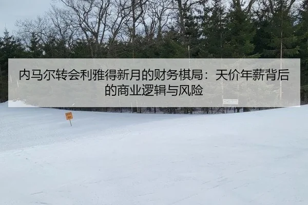 nei-ma-er-zhuan-hui-li-ya-de-xin-yue-de-cai-wu-qi-ju-tian-jia-nian-xin-bei-hou-de-shang-ye-luo-ji-yu-feng-xian-3-387.jpg