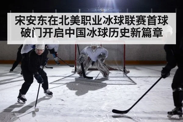 ice hockey rink action